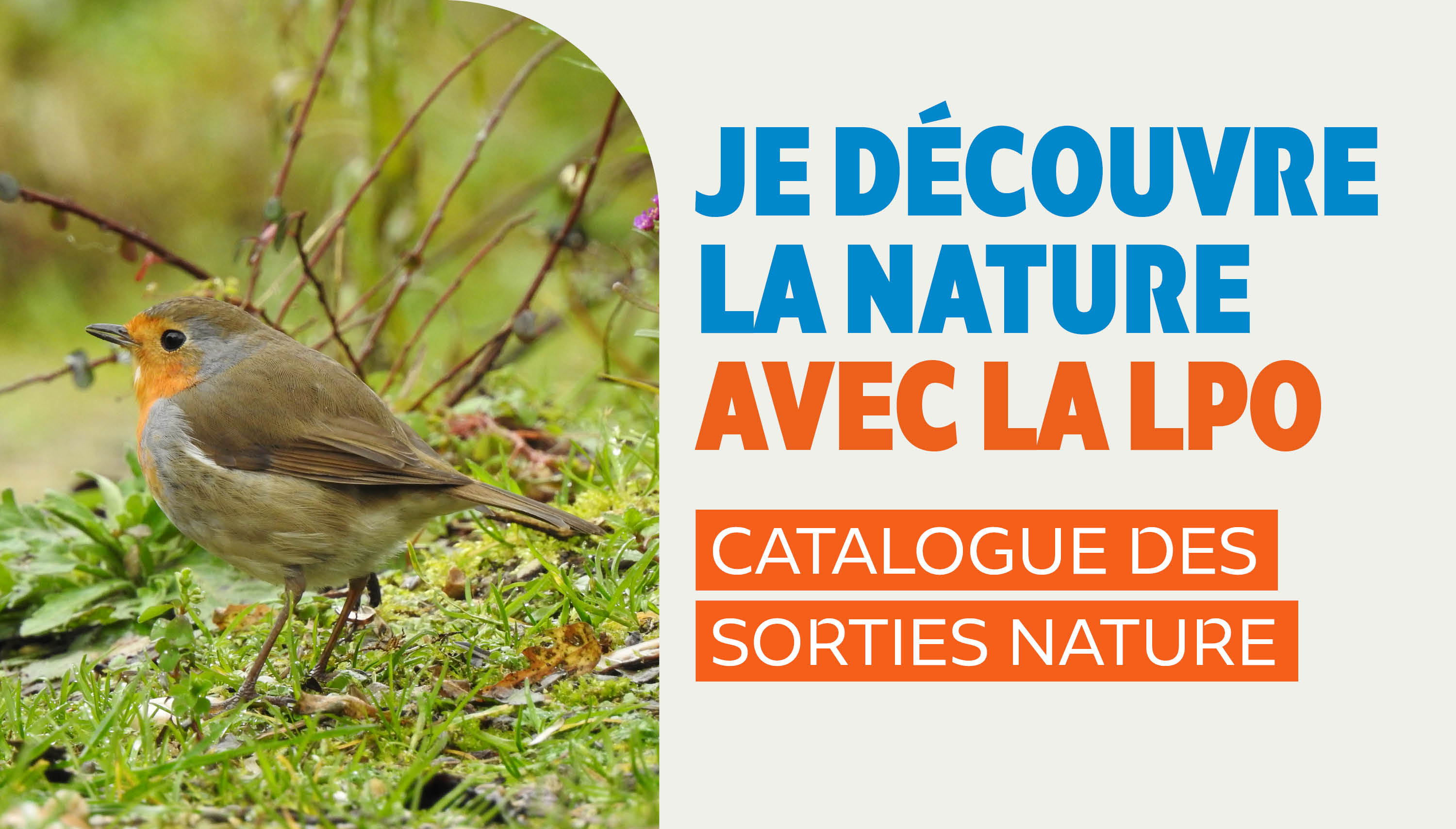 Catalogue des sorties nature : hiver-printemps 2025
